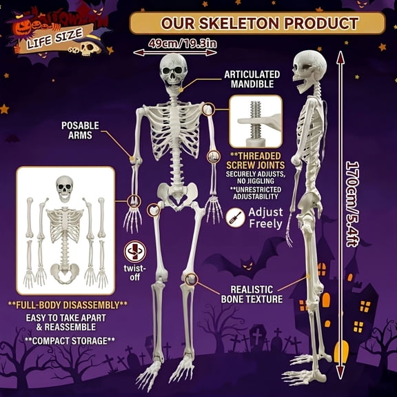 6660294275 65 Inch LifeSize Posable Halloween Skeleton, Full Body Human Skeleton with Movable Joints for Haunted House Yard Halloween Decor