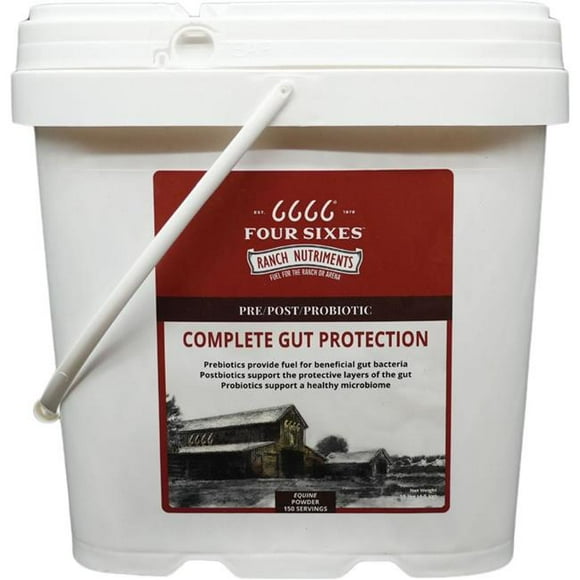 6666 Equine Supplements RNGUT150 6666 Complete Gut Protection Powder - 10 lbs - Case of 4