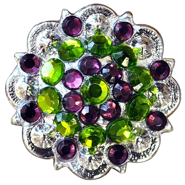 66HS Set Of 4 Screw Back Concho Peridot Amethyst Crystal 1-1/4In Saddle