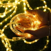 66ft Rope Lights Outdoor Waterproof LED Remote Control Rope Lights Outdoor 8 Modes Changing Tube Lights 200 LEDs String Lights Decoration Lighting Warm /White /Multi-Color