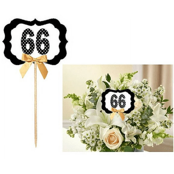 66th Birthday / Anniversary Table Decoration Party Centerpiece Pick - Set of 6