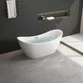 67" Freestanding Soaking Bathtub with Adjustable Leveling Feet, Modern