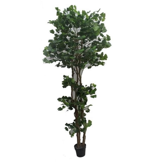 67 in. Edge Banyan, White