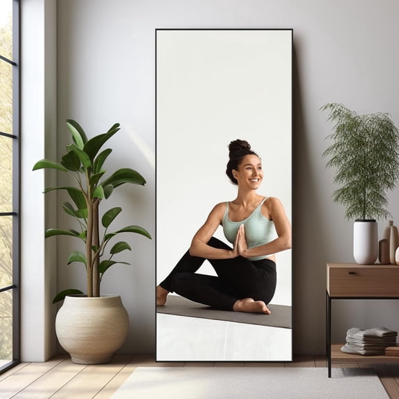 68"x26" Full Length Mirror Standing Rectangle Floor Mirrors Body Dressing Wall-Mounted Mirror, Black