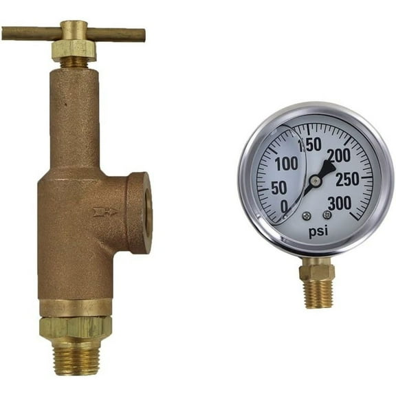 6815-1/2-HSS-300 Brass Pressure Regulator with 300 PSI Pressure Gauge (Bundle, 2 Items), Bundle includes 2 Items: (1) ZAUHLXD 6815-1/2-HSS-300 B...
