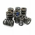 thumbnail image 1 of 68324-8 Dual Valve Springs, 1 of 1