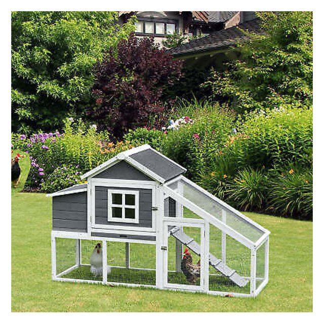 69" Chicken Coop, Includes Connecting Ramp and an EasyClean Tray White