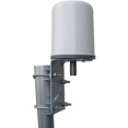 thumbnail image 1 of TerraWave - 698-896/1700-2700 MHz 3/3.5 dBi Outdoor Omni, 1 of 1