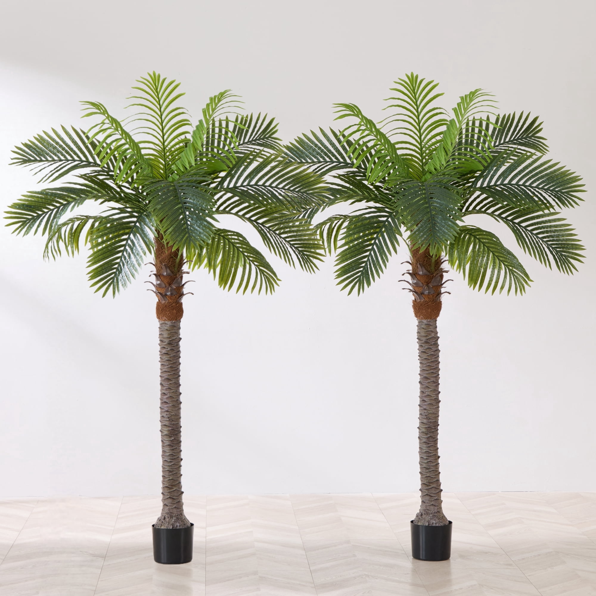 6FT Artificial Coconut Palm Tree (Set of 2),  Realistic Faux Sago Palm Plants for Indoor & Outdoor, Large Tropical Fake Trees for Home Office Garden Patio Poolside Decor