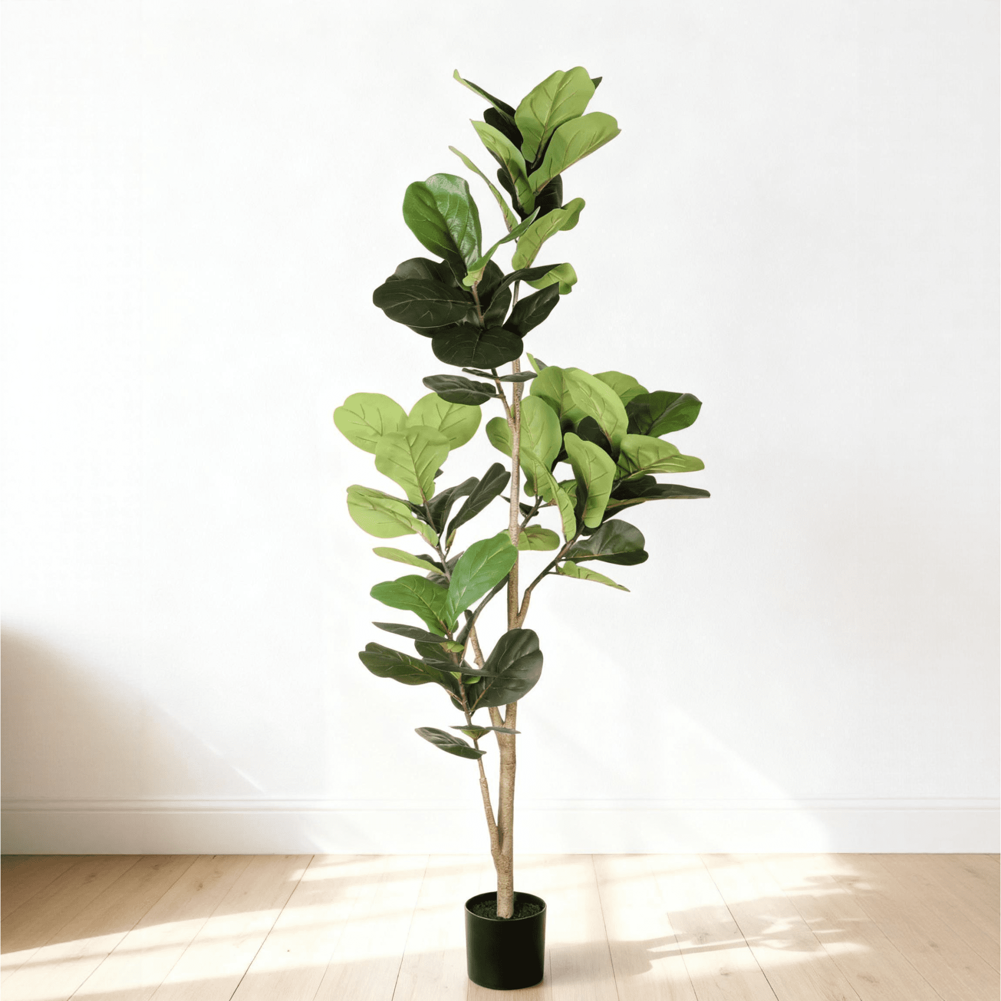 6FT Artificial Fiddle Leaf Fig Tree with Black Plastic Pot, Pot Natural ...