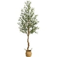 thumbnail image 1 of 6FT Artificial Olive Tree | Lifelike Silk Decor with Handcrafted Basket for Home & Office, 1 of 6