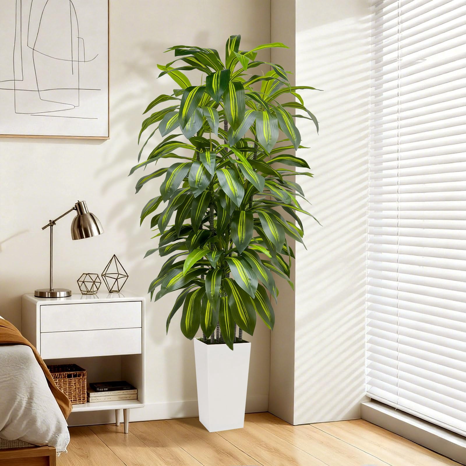 fig plant indoor Ficus Lyrata Tree Form Single Stem, Fiddle Leaf Fig Tree