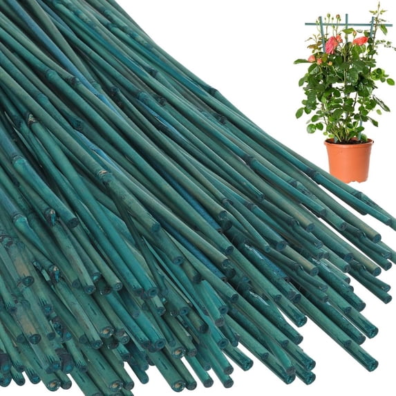 6FT Green Dyed Bamboo Stakes for Plant Support Bamboo Sticks Poles ...