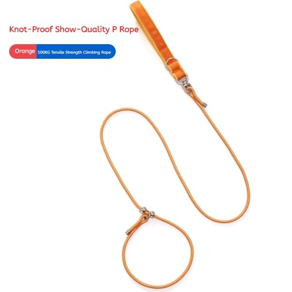 6FT Slip Lead Dog Leash with Double Padded Handle, Anti-Tangle Slip Leads for Dogs, Reflective Nylon No-Pull Training Leash for Small Medium Dogs, Red