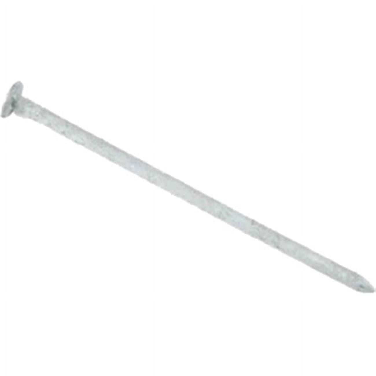 6HGC1 6D 2 in. Hot Galvanized Common Nail  1 lbs.