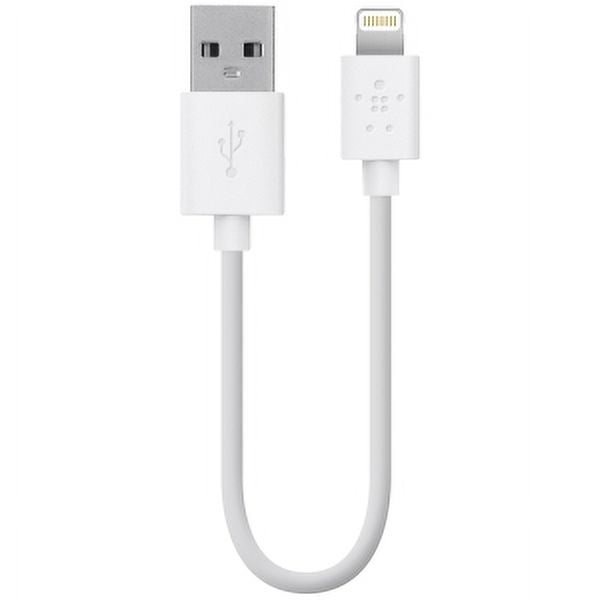 6IN WHT LIGHTNING TO USB 2.4A RETAIL BOX