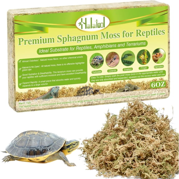 6OZ Natural Sphagnum Moss Substrate for Reptiles - Terrarium Bedding with 72H Moisture Retention, Safe for Bearded Dragons, Geckos & Snake Shedding