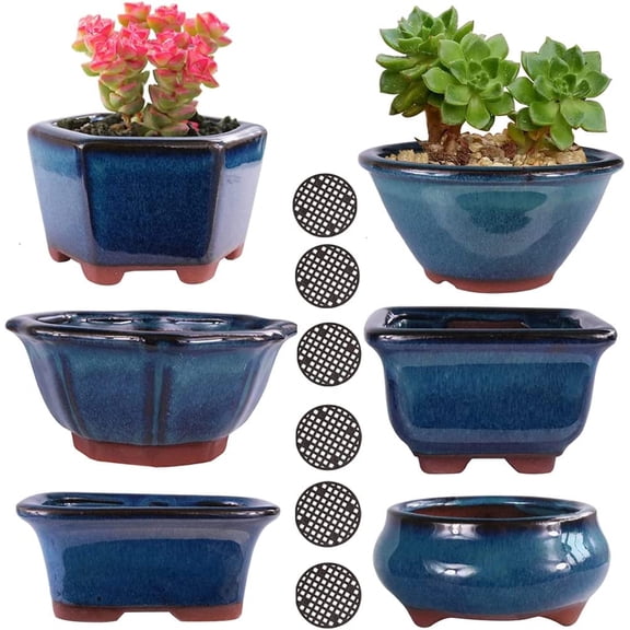 6PACK Glazed Bonsai Pot Planter 3" 4 Small Succulent Pots, Yixing Zisha Decorative Mame Bonsai Training Pot or Small Flower Cactus Starter Growing Planters Containers Blue