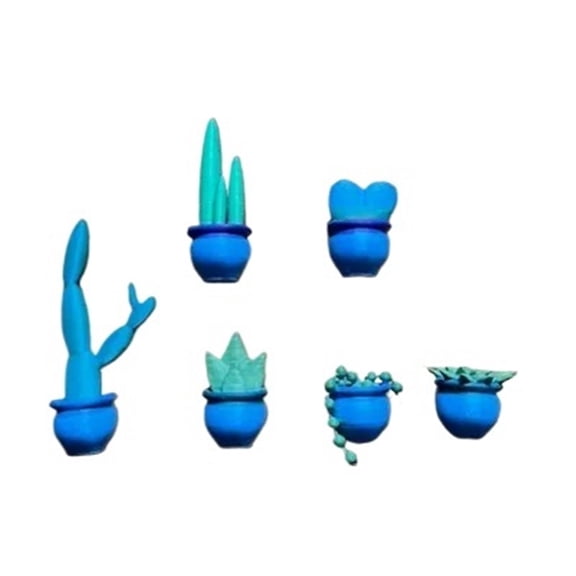 6PC Succulent and Cactus Refrigerator Magnet 3D Printing
