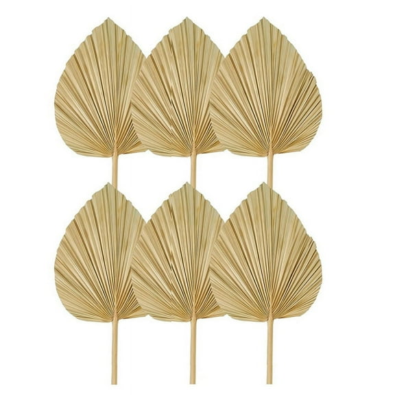6PCS Dried Palm Leaves Natural Dried Palm Fans, for Wedding Decor S