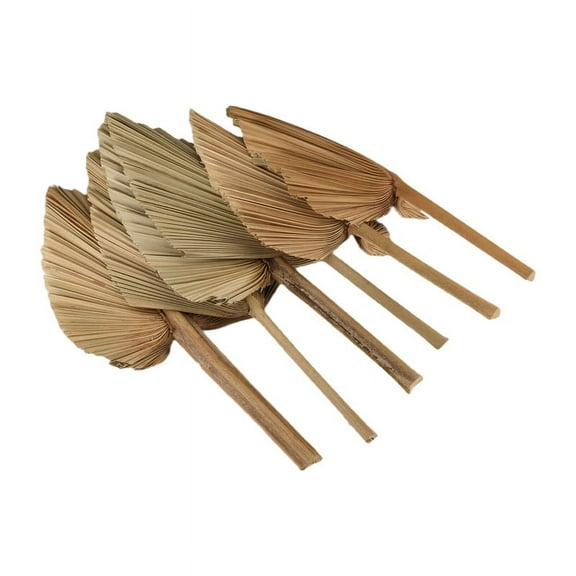 6PCS Dried Palm Leaves Natural Dried Palm Fans,Large Palm Spear for Boho Wedding Decor,Tropical Palm Leaves Decoration S