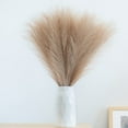 thumbnail image 1 of 6PCS Faux Pampas Grass 17"/43cm Artificial Pompous Grass Fake Pompass Branches Vase Filler Flower Arrangement for Home,Living Room, Kitchen, Wedding ,Boho Decor (Taupe), 1 of 12