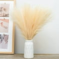 thumbnail image 1 of 6PCS Faux Pampas Grass 17"/43cm Artificial Pompous Grass Fake Pompass Branches Vase Filler Flower Arrangement for Home,Living Room, Kitchen, Wedding ,Boho Decor ( Beige), 1 of 8
