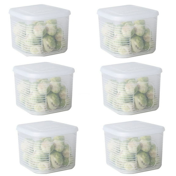 6PCS Food Storage Containers with Lids Airtight, Plastic Reusable Food Prep Containers Fruit Storage Organizer Storage Bin for Storing Fish, Meat, Vegetables