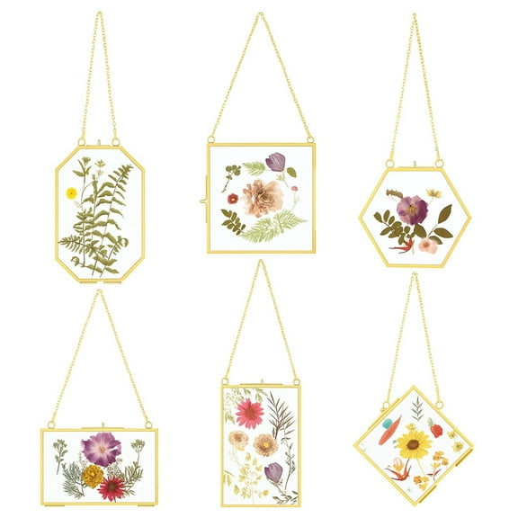 6PCS Floating Glass Frames, Hanging Gold Pressed Flower Picture Frames, Dried Flower Frames with Chains, Double Artwork Display Frames for DIY Crafts & Decor, 5 Shapes