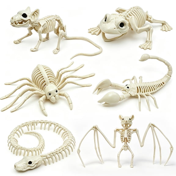 6PCS Halloween Animal Skeletons with Bendable Tails Movable Jaws Plastic Decorations