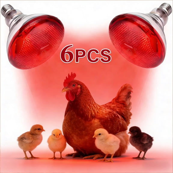 6PCS Infrared Red Heat Lamp for Chicks, 150 Watt Reptile Heating Lamp for Leopard Gecko E26, Heat Bulb