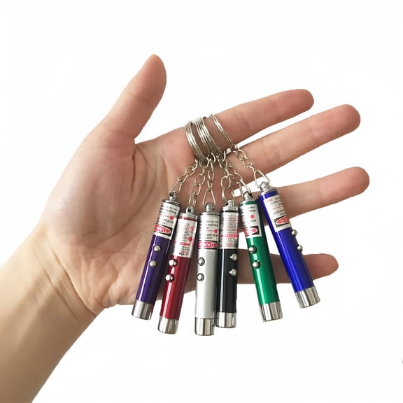 6PCS Mini Cat Toy Laser Pointer, 2-in-1 Red Laser and White LED Flashlight with Keychain, Portable Interactive Pet Training Tool for Dogs, Camping and Presentations