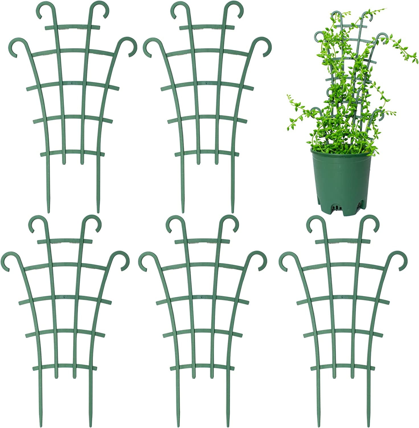 Cabilock 6er-Set Spiral-Pflanzstbe  Elegante Rankhilfen Fr  Zimmerpflanzen, Blumen Und Gemse Im Garten