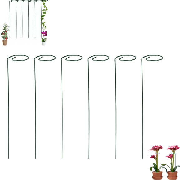 6PCS Single Stem Plant Support Stakes, Spiral Ring Flower Plant Trellis, Vertical Garden Support Trellis for Vegetables Roses Flowers Outdoor Courtyard Use