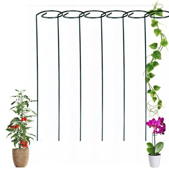 6PCS Tomato Stake, Spiral Tomato Stakes, Tomatos Stakes, Plant Supports Cages, Climbing Plant Stake Tower Plant Supports, Support Tools For The Garden