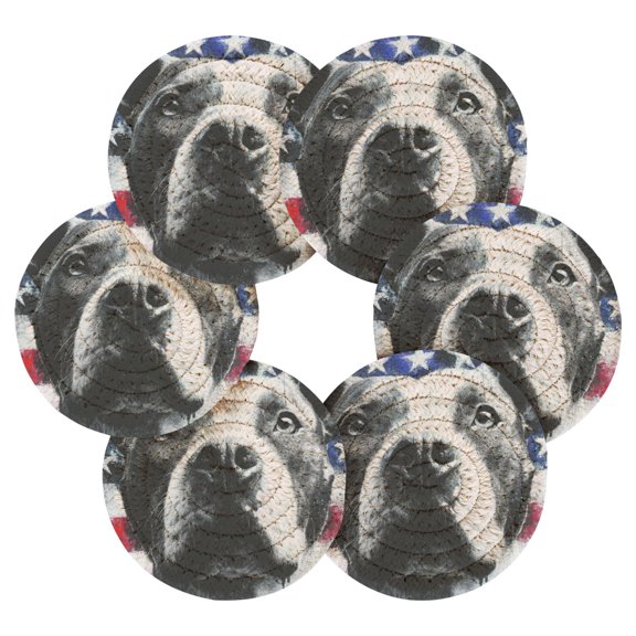 6PCs Round Coasters Set Heat Resistant Washable Kitchen Table Decorations with Storage Rack Guardian Of The Old Glory