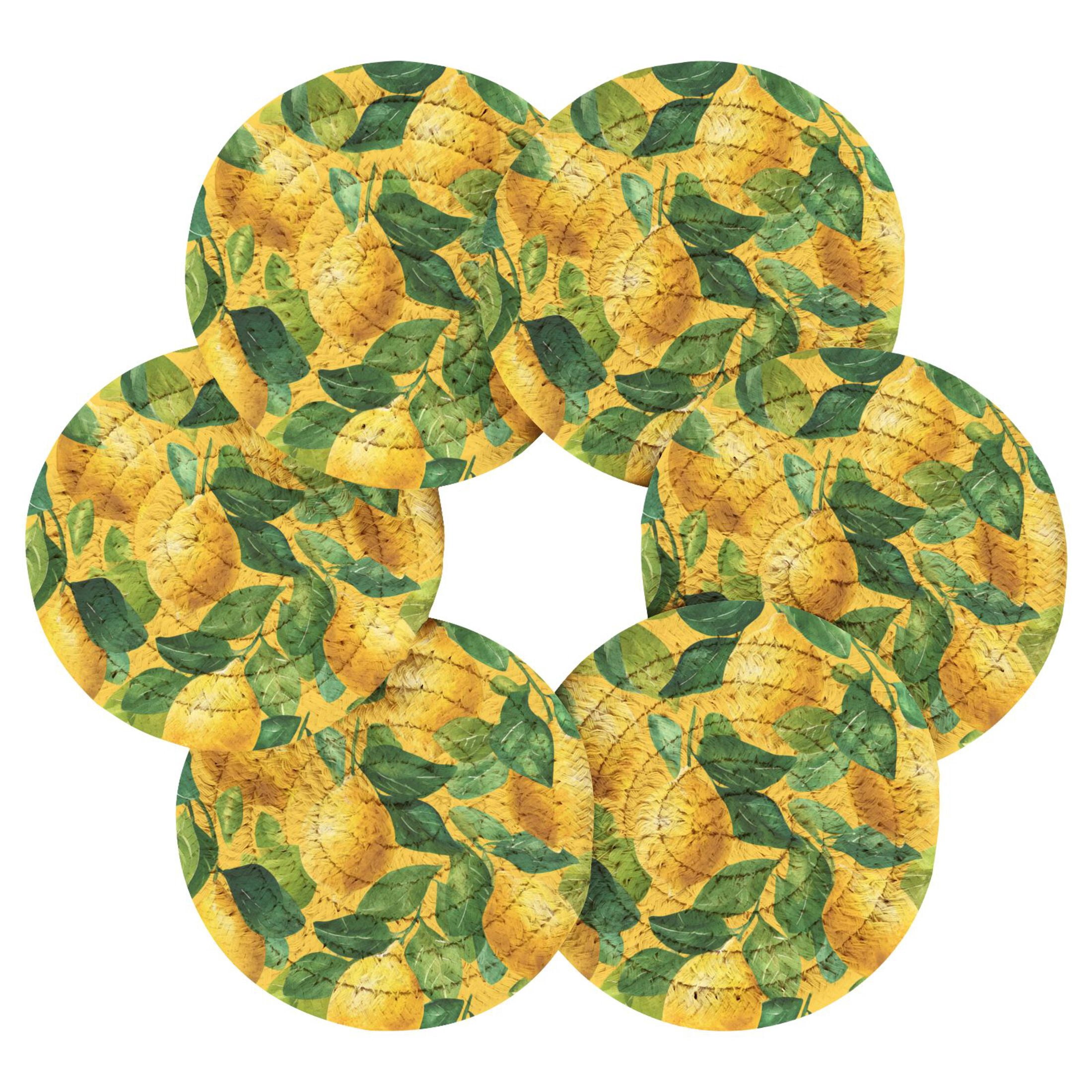 6PCs Round Coasters Set Heat Resistant Washable Kitchen Table ...