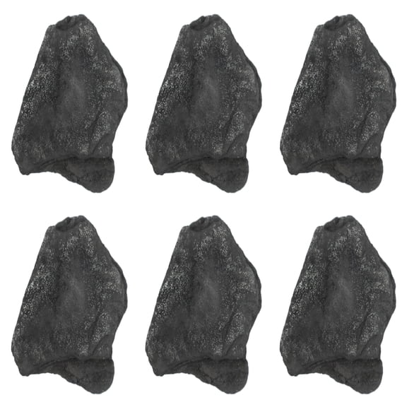 6PK Raw Anthracite Coal, Metamorphic Rock Specimens - Approx. 1" - Geologist Selected & Hand Processed - Great for Science Classrooms - Class Pack - Eisco Labs