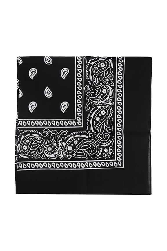 6Pcs 100% Cotton Bandana for Men & Women 22" X 22" Paisley Pattern Handkerchief Headband Scarf