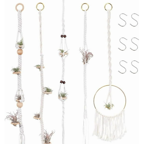 6Pcs Air Plant Hanger Air Fern Macrame Plant Hanger Boho Style Hanging Planter Baskets Air Plants Holders Woven Hanging Air Plant Stand for Home Office Wall Decoration