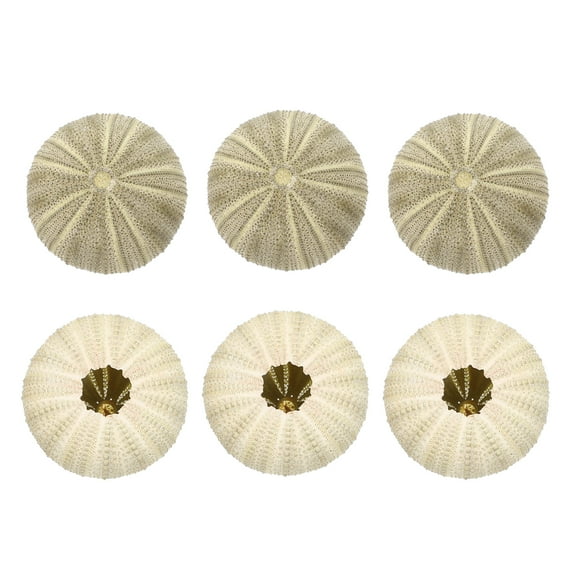 IFANLANDOR Sea Decor Shell Mediterranean Style Tabletop Decor 6Pcs