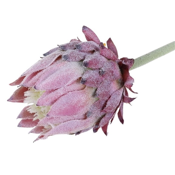 6Pcs Artificial King Protea Flower Fake Protea Cynaroides Bouquet Tropical Flowers for Table Decor