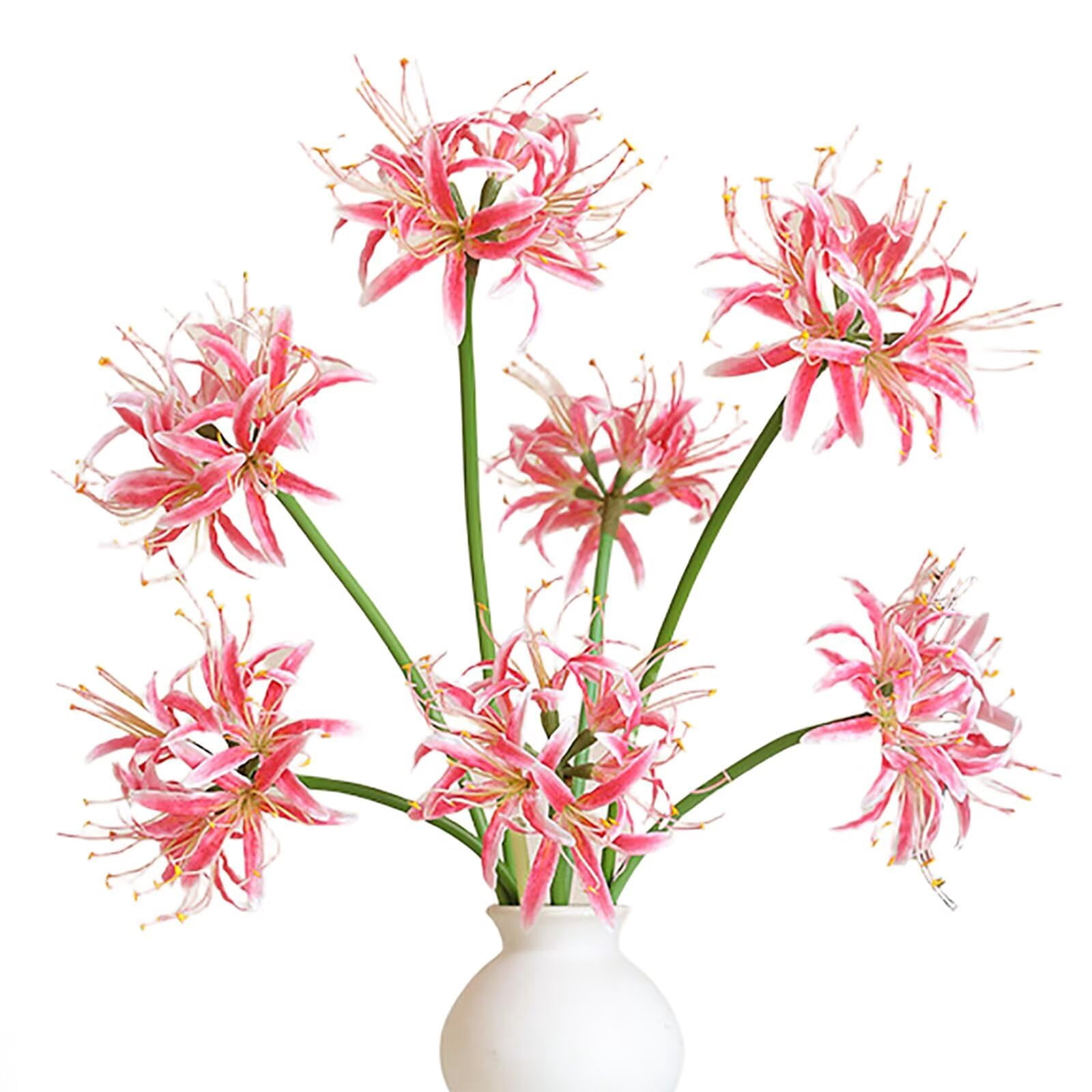 6Pcs Artificial Spider Lily Flowers Hot Pink Spider Lilies Fake Flower  Lycoris Bulbs Faux Flowers with Long Stem Silk Floral Arrangements for Vase  Bouquets Home Office Wedding Decor fenze Home Decor -