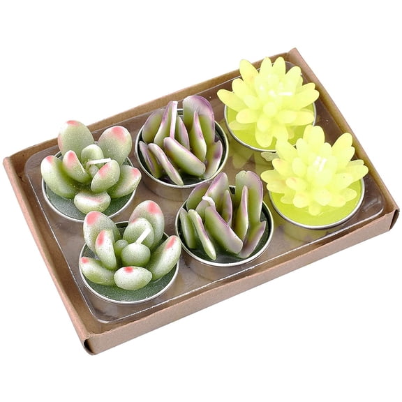 6Pcs Cactus Candles Succulent Cactus Candle, Handmade Mini Delicate Candles for Home Decoration