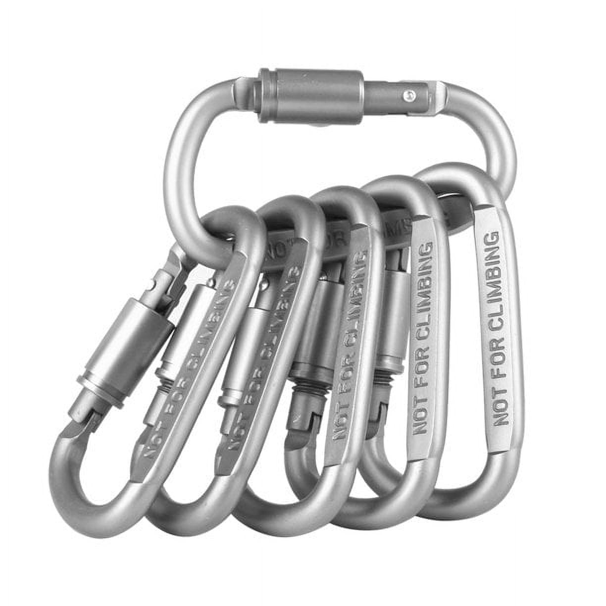 10pcs Tiny Spring Snap Hook, EEEkit Mini SF Alloy Carabiners Clip, Mini  Hanging Buckle, Stainless Steel Heavy Duty Clips for Buckle Backpack  Camping Bottle Using Keychain Accessories 