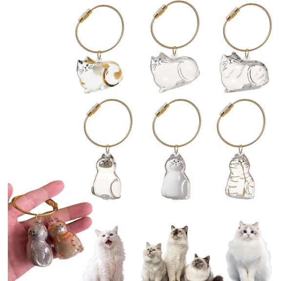 6Pcs Cat Fur Memory Charm, 2026 New Cats Hair Memorial Pendant, Cats Fur Keepsake Capsule Pendant, Pet Fur Keepsake Keychain, Pet Hair Storage Bottle, Cat Lover Collecting Gift