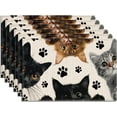 6Pcs Cat Table Cloths 17.7x11.8 Inch Rectangle Cute Kitten Table