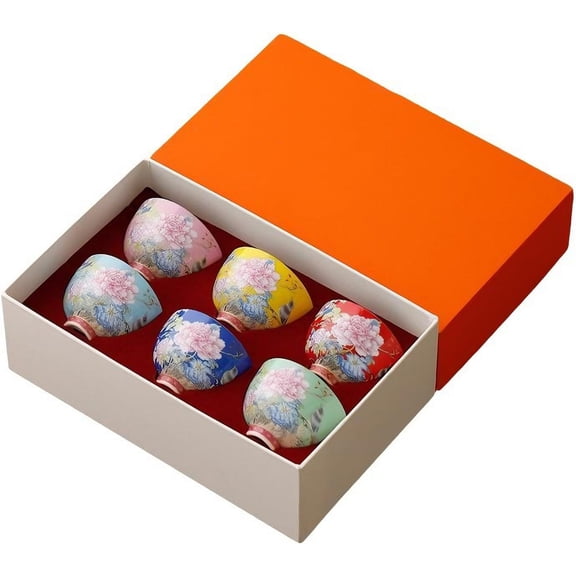 6Pcs Chinese Ceramic Tea Cup Set, Japanese Tea Cups with 6 Elegant Flower and Bird Pattern Colors, Gift Box Packaging