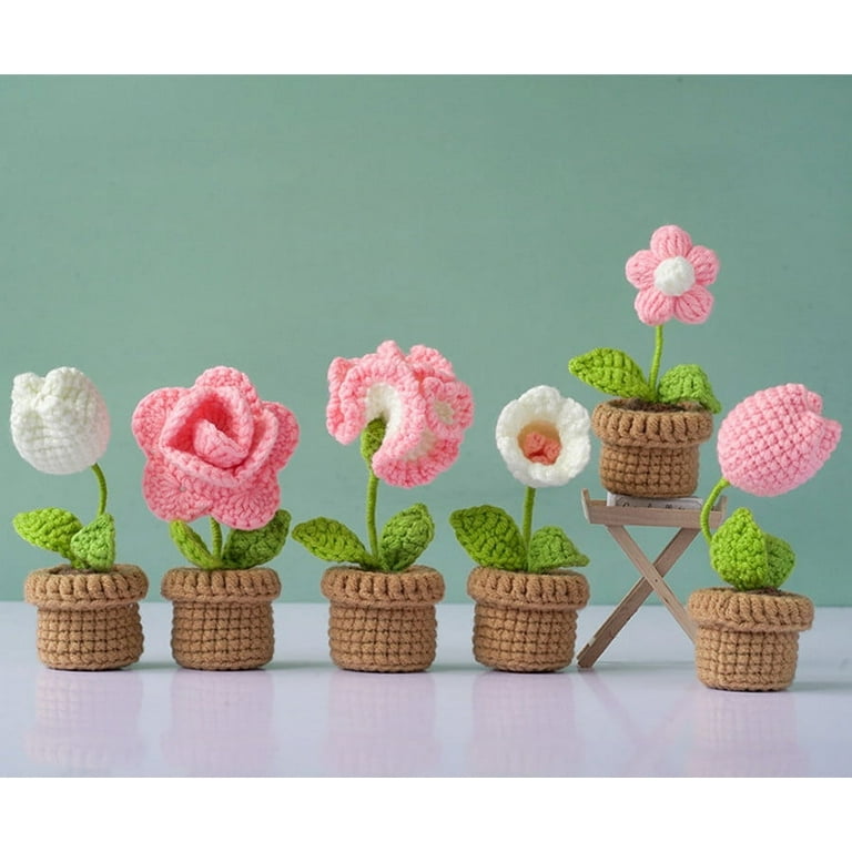 6Pcs Crochet Potted Kit, Crochet Kit for Beginners Adults and Kids, Easy  Sunflower Craft Kit with Detailed Step-by-Step Instructions,White 