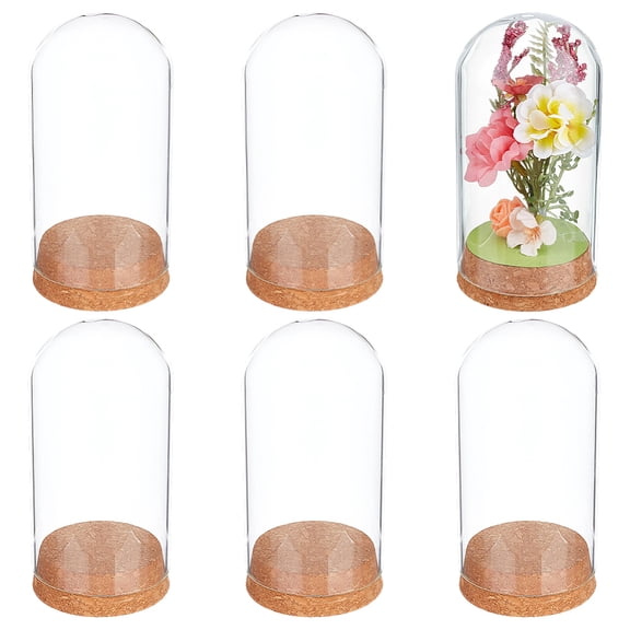 6Pcs Dome Display Glass Jar with Cork 5.2x2.5 Inch Bell Cloche Glass Decoration Case for Flower Plants Specimens Crafts Decorations